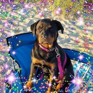 Meet your Posher, Paula